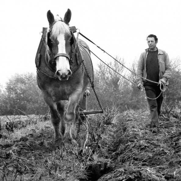 1973-cheval-labour-01ED03-1000.jpg