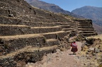 Terrasses Inca - Hauts de Pisac