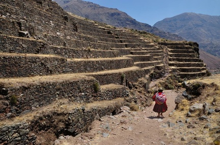 Terrasses Inca - Hauts de Pisac