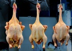 Les 3 poulets du marché - Lima
