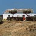 La maison aux deux arbres - Portugal - 1984
