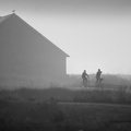 Deux cyclistes dans le marais - Guérande