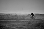 Un cycliste dans le marais - Guérande