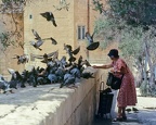 La dame aux pigeons - Malte
